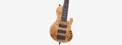 Sire Marcus Miller F10 6-String