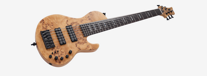 Sire Marcus Miller F10 6-String