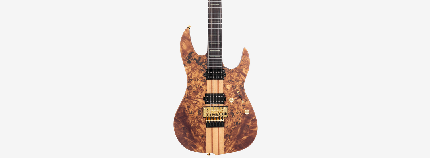 Sire guitars usa deals